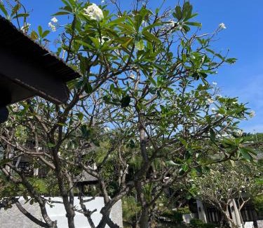 Plai Laem Apartment | Sea view