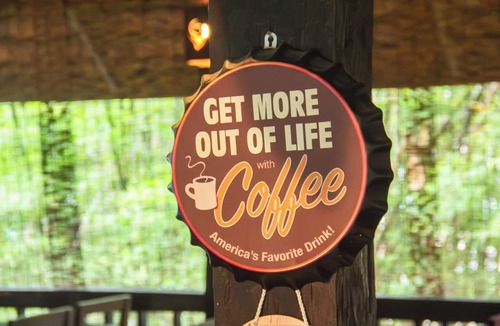 Nong Pa Khrang Hotel | Sunday Rainforest Chiangmai Hotel