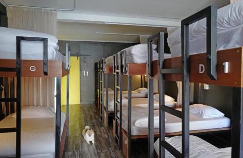 Talat Yai Hostel | W168 hostel
