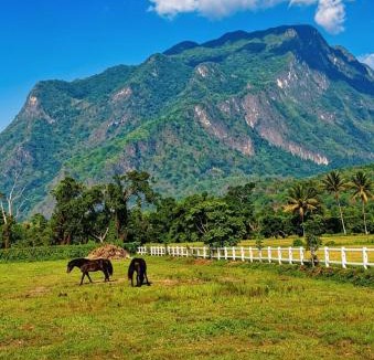 Chiang Dao Other | Western View Chiangdao Camping