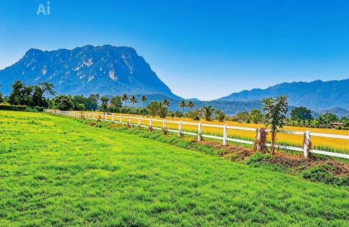 Chiang Dao Other | Western View Chiangdao Camping