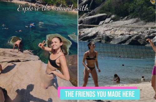 Koh Tao Hostel | Wonderland Jungle Hostel