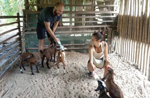 Ko Yao Resort | YaoIsland Resort and Farm