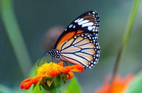 Bang Yi Khan House | Zx hours
