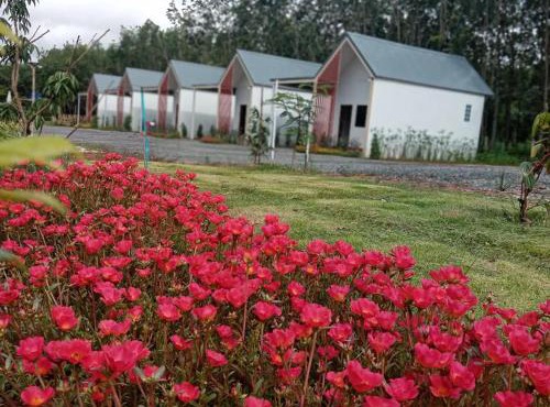 บ้านชมดาวรีสอร์ทบึงโขงหลง in Bung Khong Long