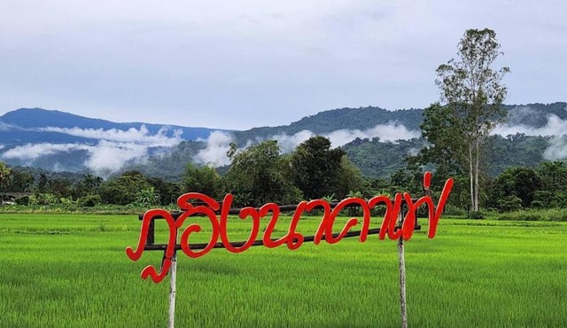 ภูอิงนาคาเฟ่&รีสอร์ท