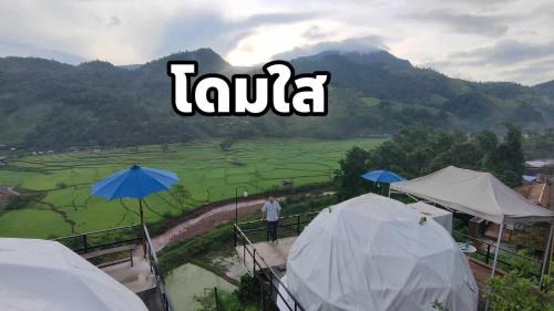 เวนิสบ้านเวร โดมใส