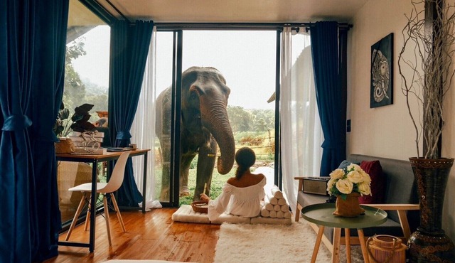 3Pok wake with elephants in Mae Wang
