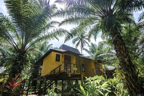 Anurak Lodge in Surat Thani