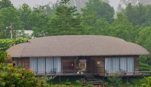 Arabica Khaokho in Khao Kho