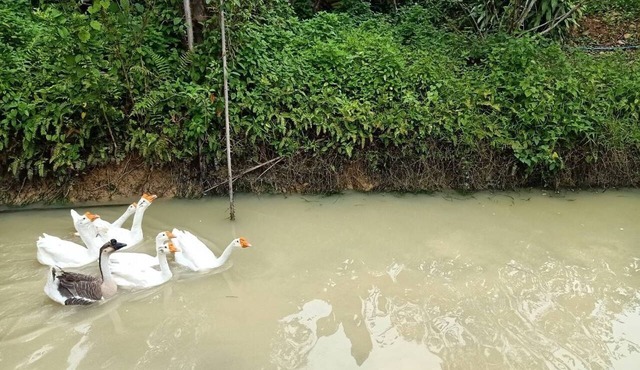Banana Place Resort in Chumphon