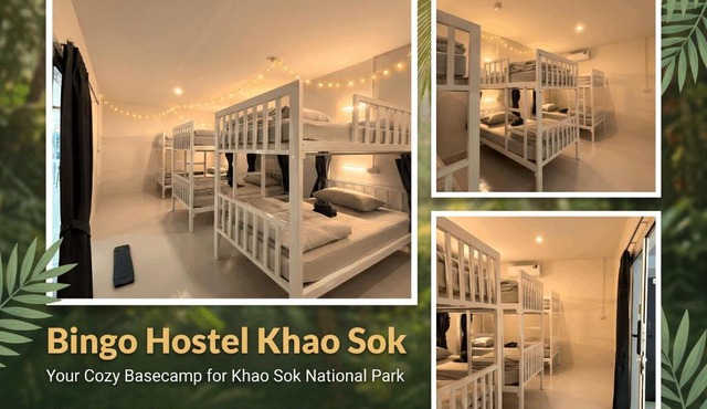 Bingo Hostel Khao Sok in Surat Thani