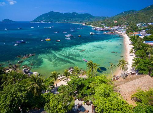 Bird Nest Hostel in Ko Tao
