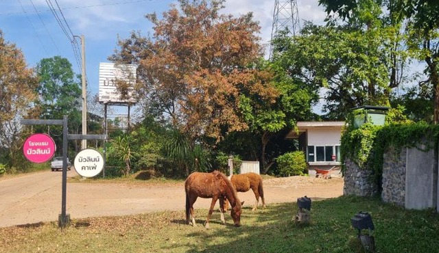 Bualinn Resort in Nong Khai