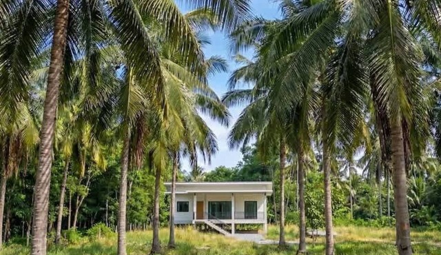 Coconut Villa with Two Bedrooms and Palm View in Ko Pha-Ngan Subdistrict