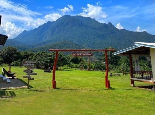 Doi Piang Dao Farm