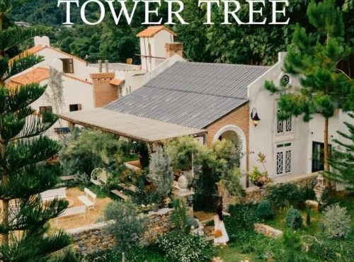 Home Tower tree เชียงใหม่