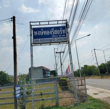 Hongthong