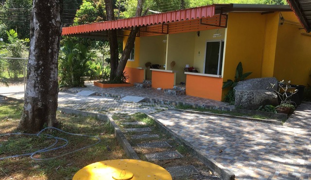 Kathu Waterfall Bungalow and 1 Zi.Apt. Pure nature