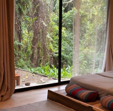 Lakehouse in the Old Rainforest