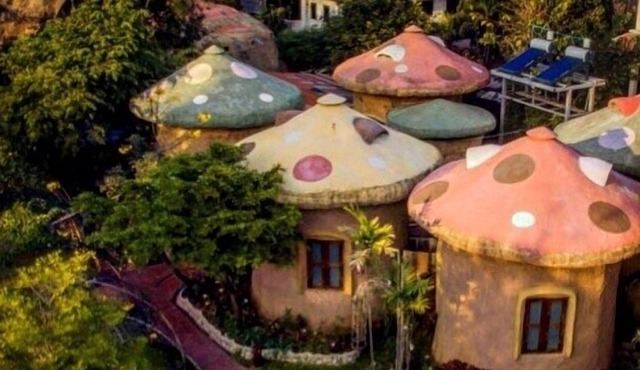 Leafy Greens Chiangmai: Mushroom House M2