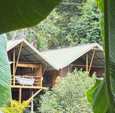 Maka farmstay Thong Pha Phum สวนคุณตาฟาร์มสเตย์