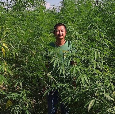 Muangkham in Chiang Rai