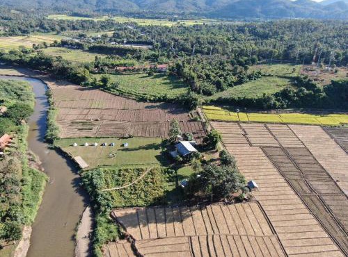 NichahomePai in Pai