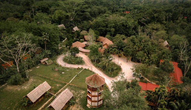 Our Jungle Camp - Eco Resort in Surat Thani