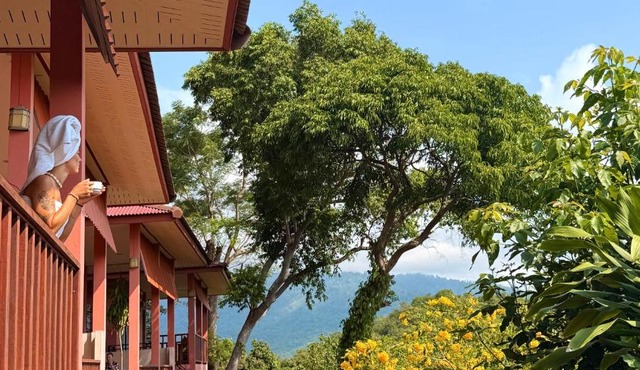 PawPaw Resort