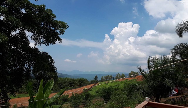 Rai Nunnapas in Phetchabun