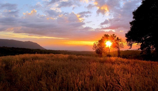 Sabaidee Valley in Paksong