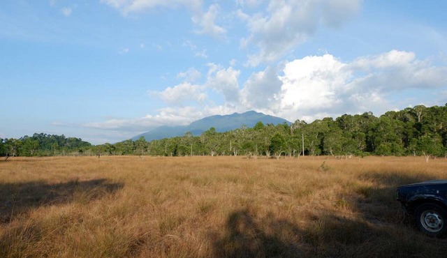 The Camp Resort in Khura Buri