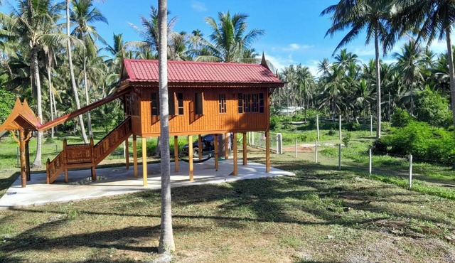 Traditional Thai wooden house on stilts set in a coconut orchard near the beach