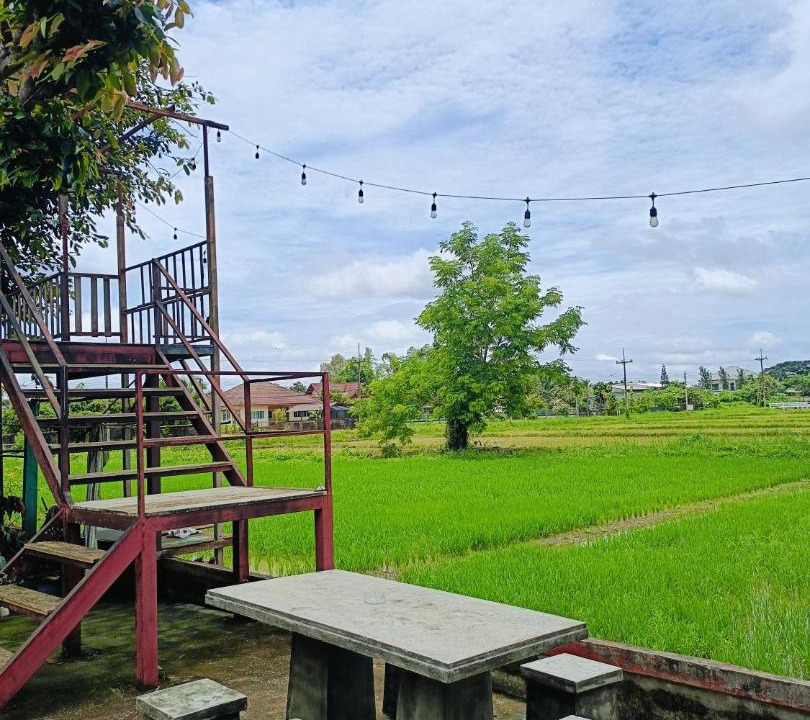 Chiang Rai Hotel | Six Nature Resort