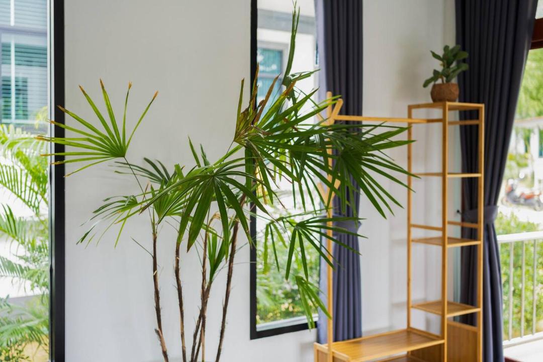 Hin Hong House | 2BR Spacious Villa Garden Family Pets