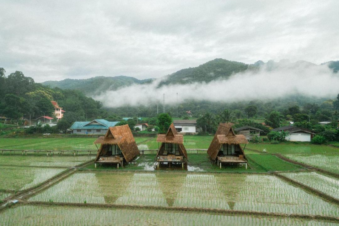 Ban Ton Lung Cabin | Khao Kiang Na เขา เคียง นา