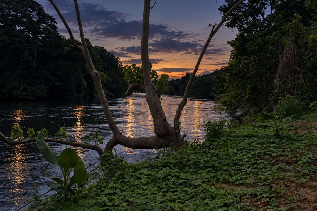 Lat Ya Other | Riverside Glamping Resort Kanchanaburi