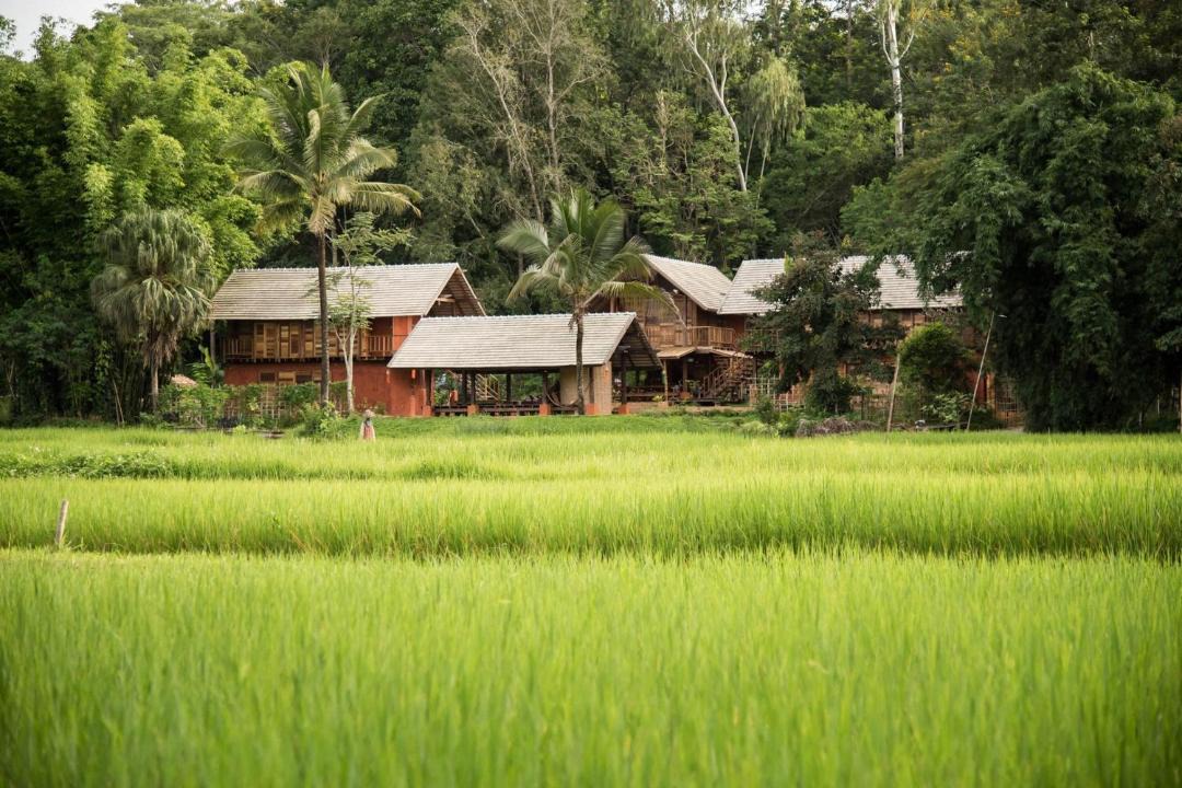 Pa Sang House | Ahsa Farm Stay