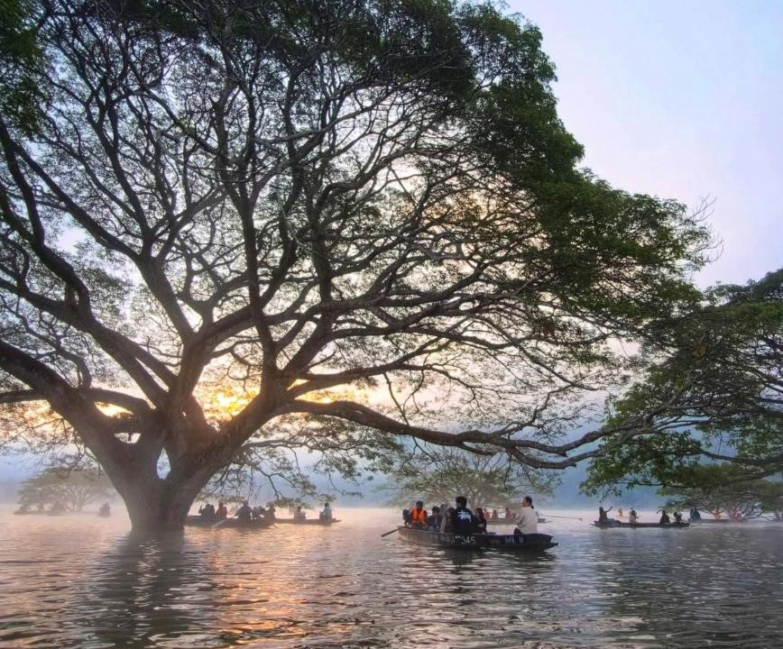 Phrao Other | สกายพร้าวแคมป์ปิ้ง