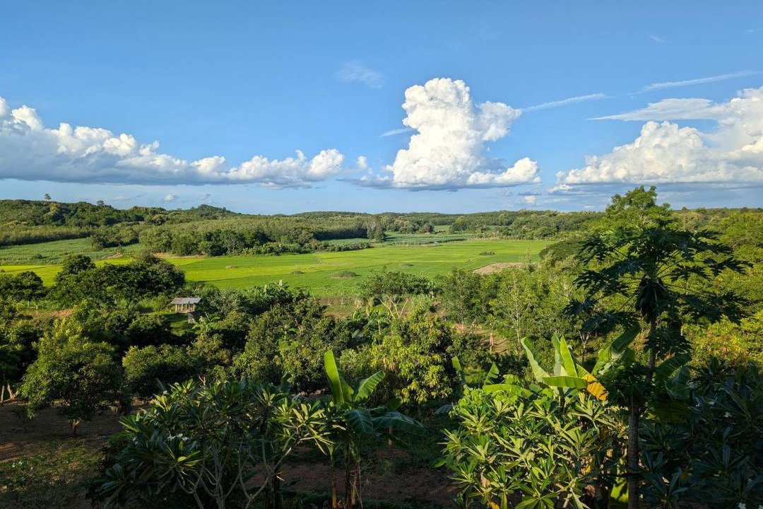 Loei Province Bed & Breakfast | Loei Valley Orchard Bed & Breakfast