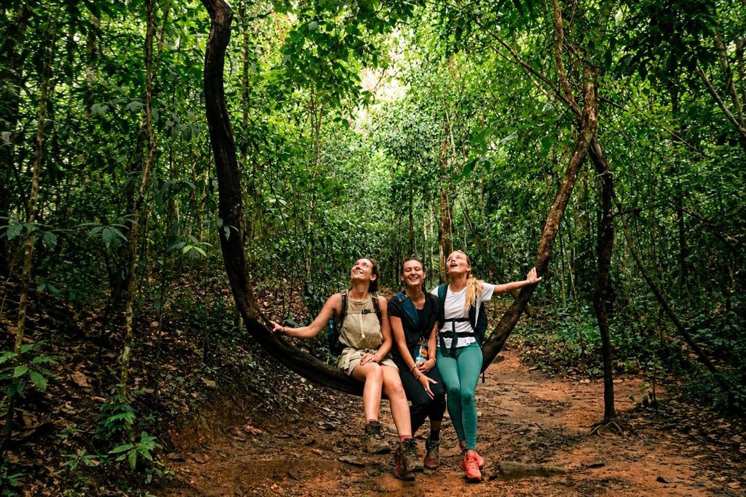 Mae Wang Cabin | Sunny Jungle Waterfall Retreat