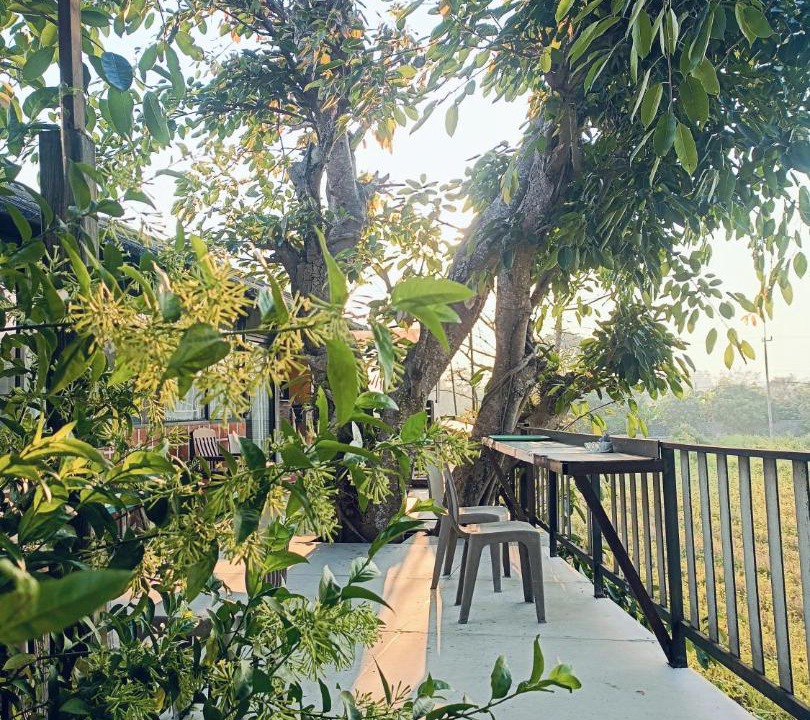 Chiang Rai Hotel | Six Nature Resort