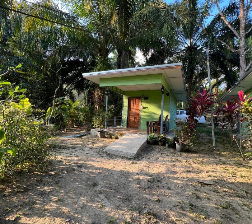 Thai Mueang House | Baan Tarn Naam