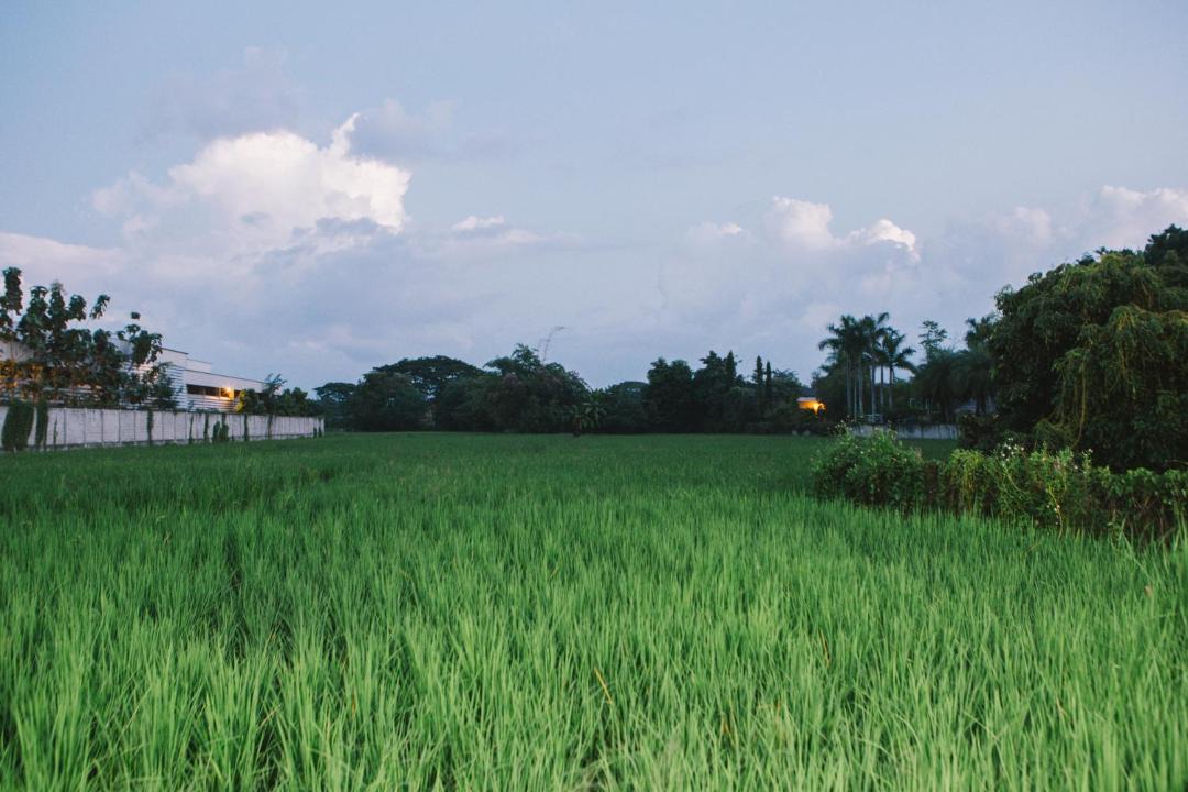 Hang Dong House | ฺBaan Tonglong Homestay
