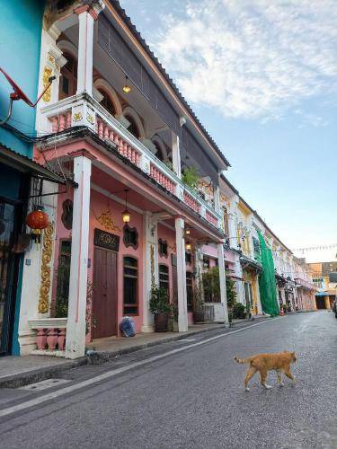 Photo of Buildings in Old Phuket Town
