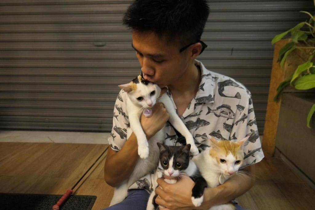 Photo of Others in Old Phuket Town