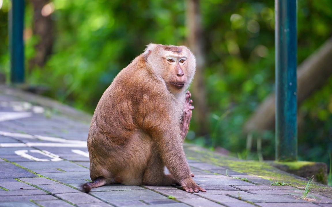 Photo of Others in Talat Yai