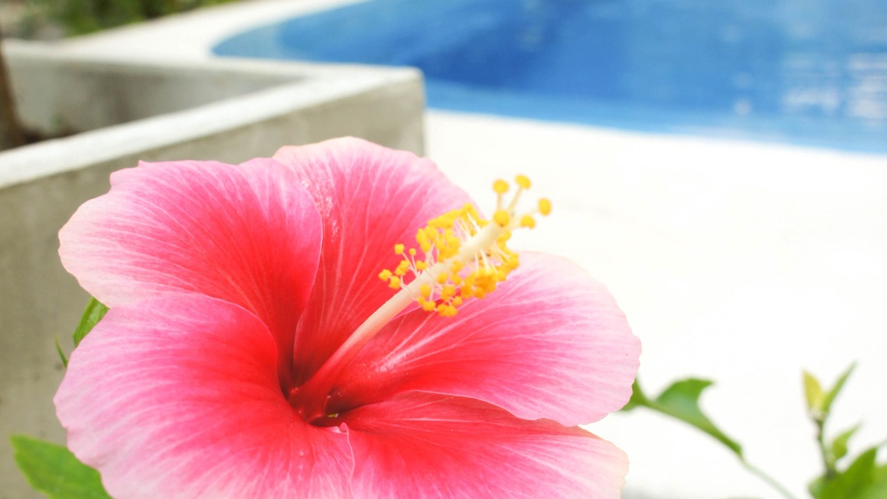 Photo of Others in Hua Hin