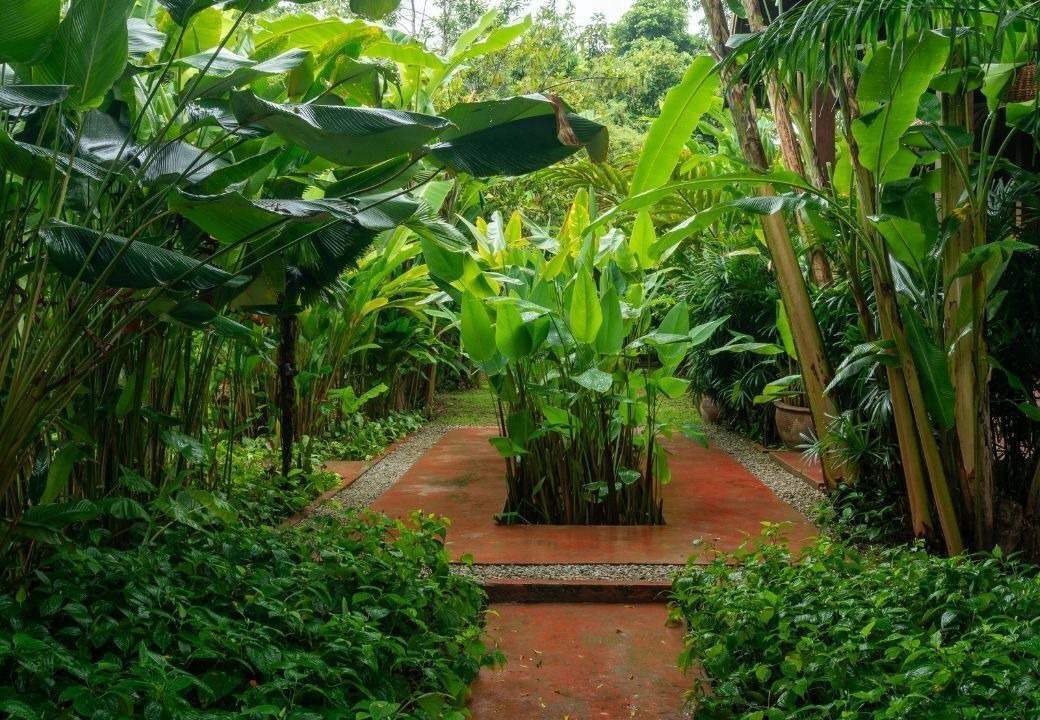 Photo of Outdoor in Vang Vieng